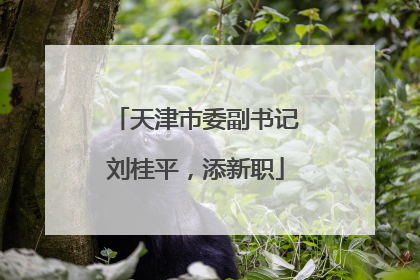 天津市委副书记刘桂平，添新职