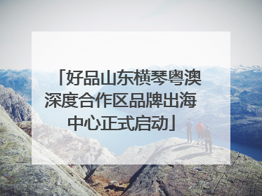 好品山东横琴粤澳深度合作区品牌出海中心正式启动