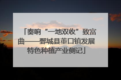 奏响“一地双收”致富曲——鄄城县董口镇发展特色种植产业侧记