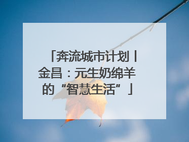 奔流城市计划丨金昌：元生奶绵羊的“智慧生活”