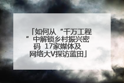 如何从“千万工程”中解锁乡村振兴密码  17家媒体及网络大V探访蓝田