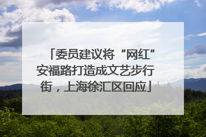 委员建议将“网红”安福路打造成文艺步行街，上海徐汇区回应