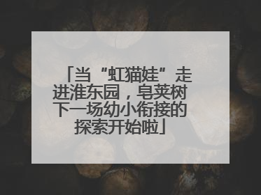 当“虹猫娃”走进淮东园，皂荚树下一场幼小衔接的探索开始啦