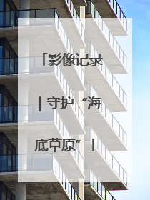 影像记录｜守护“海底草原”