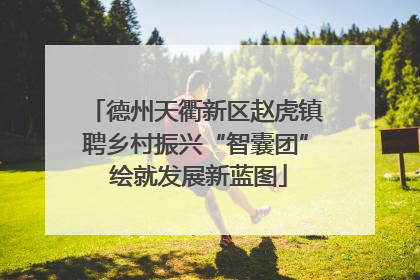 德州天衢新区赵虎镇聘乡村振兴“智囊团” 绘就发展新蓝图