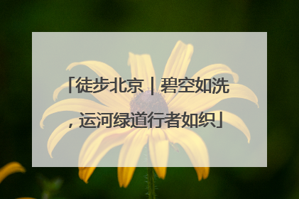 徒步北京｜碧空如洗，运河绿道行者如织