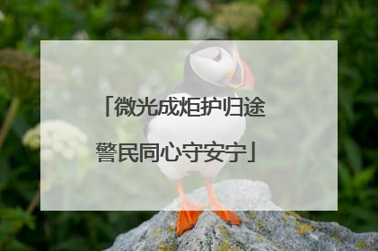 微光成炬护归途 警民同心守安宁