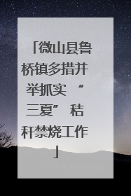 微山县鲁桥镇多措并举抓实 “三夏” 秸秆禁烧工作
