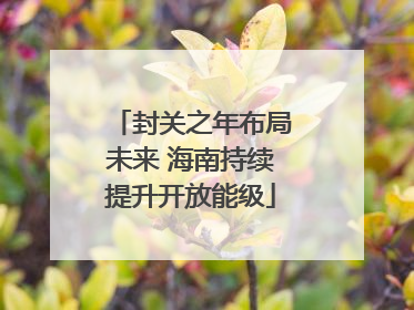 封关之年布局未来 海南持续提升开放能级