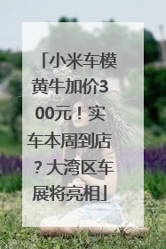 小米车模黄牛加价300元！实车本周到店？大湾区车展将亮相