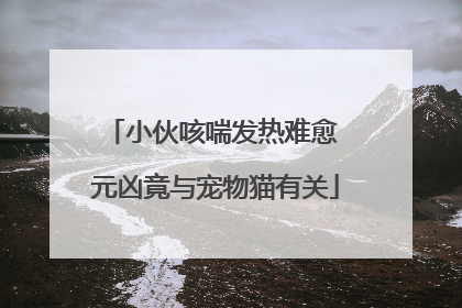 小伙咳喘发热难愈 元凶竟与宠物猫有关