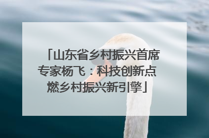 山东省乡村振兴首席专家杨飞：科技创新点燃乡村振兴新引擎