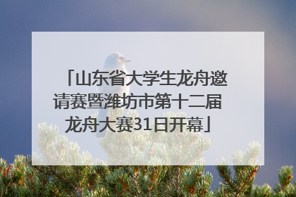 山东省大学生龙舟邀请赛暨潍坊市第十二届龙舟大赛31日开幕