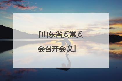 山东省委常委会召开会议