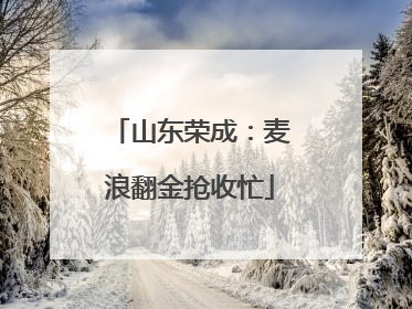 山东荣成：麦浪翻金抢收忙