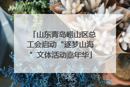 山东青岛崂山区总工会启动“逐梦山海”文体活动嘉年华