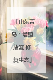 山东青岛：增殖放流 修复生态