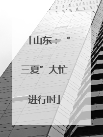 山东：“三夏”大忙进行时