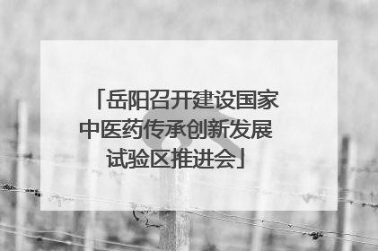 岳阳召开建设国家中医药传承创新发展试验区推进会