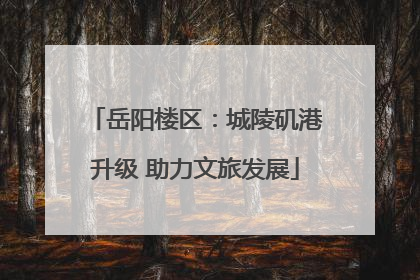 岳阳楼区：城陵矶港升级 助力文旅发展