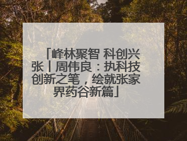 峰林聚智 科创兴张丨周伟良：执科技创新之笔，绘就张家界药谷新篇