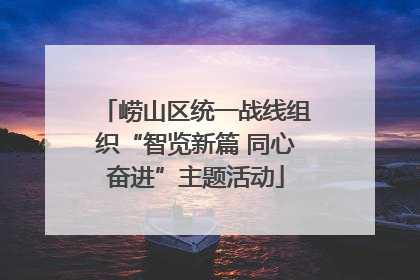 崂山区统一战线组织“智览新篇 同心奋进”主题活动