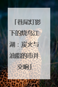 巷尾灯影下的烧鸟江湖：炭火与油脂的市井交响