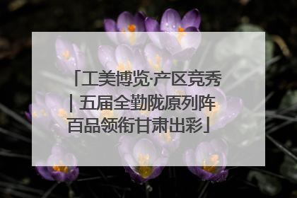 工美博览·产区竞秀｜五届全勤陇原列阵 百品领衔甘肃出彩