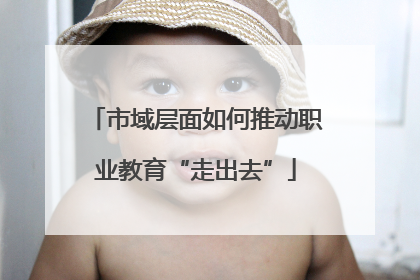 市域层面如何推动职业教育“走出去”