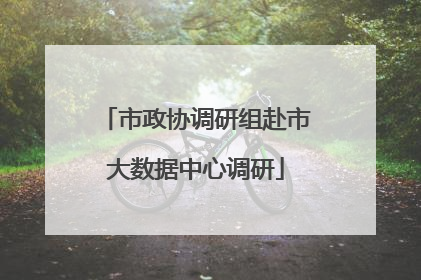 市政协调研组赴市大数据中心调研