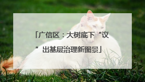 广信区：大树底下“议”出基层治理新图景