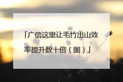 广信这里让毛竹出山效率提升数十倍（图）