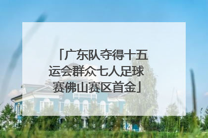 广东队夺得十五运会群众七人足球赛佛山赛区首金