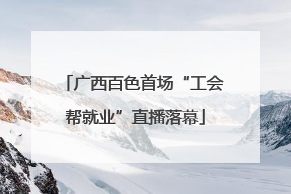 广西百色首场“工会帮就业”直播落幕
