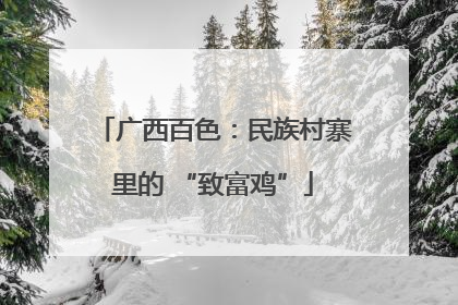 广西百色：民族村寨里的 “致富鸡”