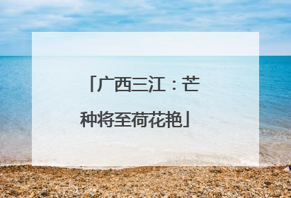 广西三江：芒种将至荷花艳