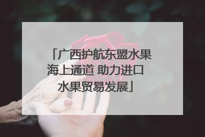 广西护航东盟水果海上通道 助力进口水果贸易发展