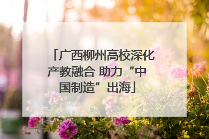 广西柳州高校深化产教融合 助力“中国制造”出海