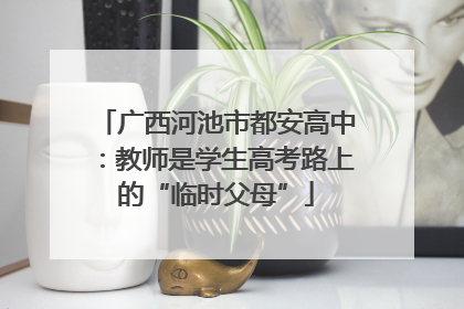 广西河池市都安高中：教师是学生高考路上的“临时父母”