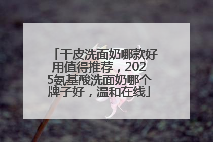 干皮洗面奶哪款好用值得推荐，2025氨基酸洗面奶哪个牌子好，温和在线