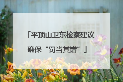 平顶山卫东检察建议确保“罚当其错”