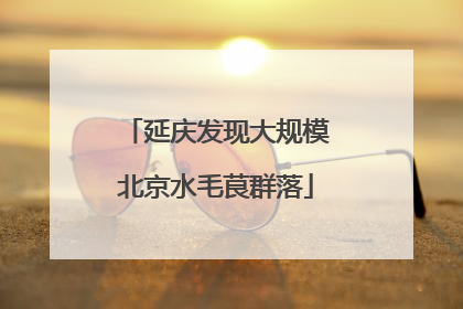 延庆发现大规模北京水毛茛群落