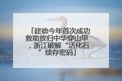 建德今年首次成功救助放归中华穿山甲，浙江破解“活化石”续存密码