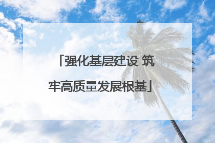 强化基层建设 筑牢高质量发展根基