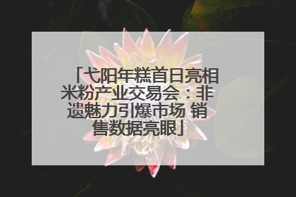 弋阳年糕首日亮相米粉产业交易会：非遗魅力引爆市场 销售数据亮眼