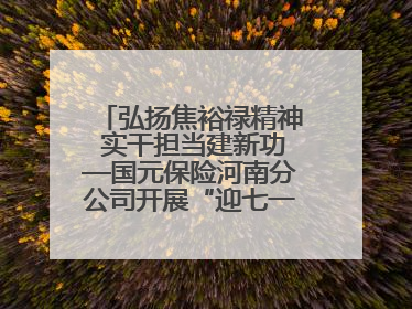 弘扬焦裕禄精神 实干担当建新功—国元保险河南分公司开展“迎七一”主题党日活动
