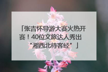 张吉怀导游大赛火热开赛！40位文旅达人秀出“湘西北待客经”