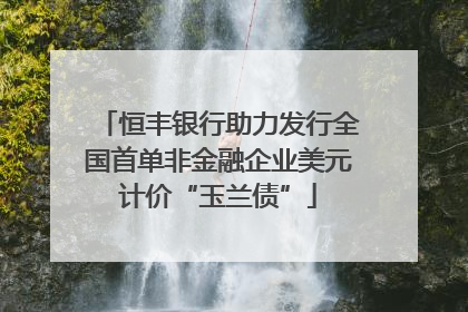恒丰银行助力发行全国首单非金融企业美元计价“玉兰债”
