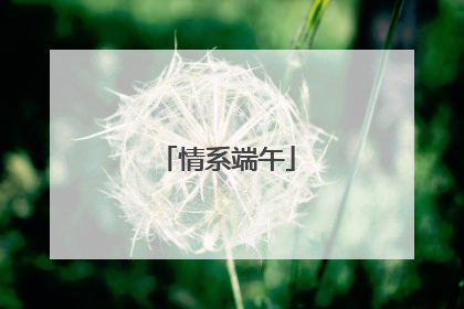 情系端午