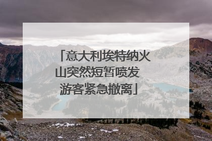 意大利埃特纳火山突然短暂喷发 游客紧急撤离